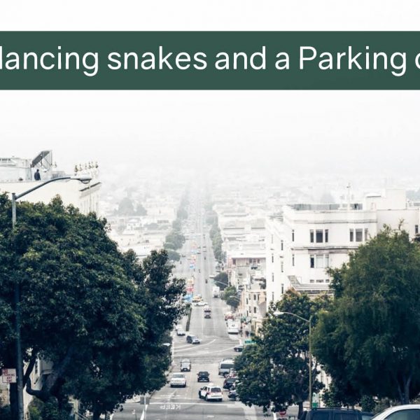 Belly-dancing snakes and a Parking offence