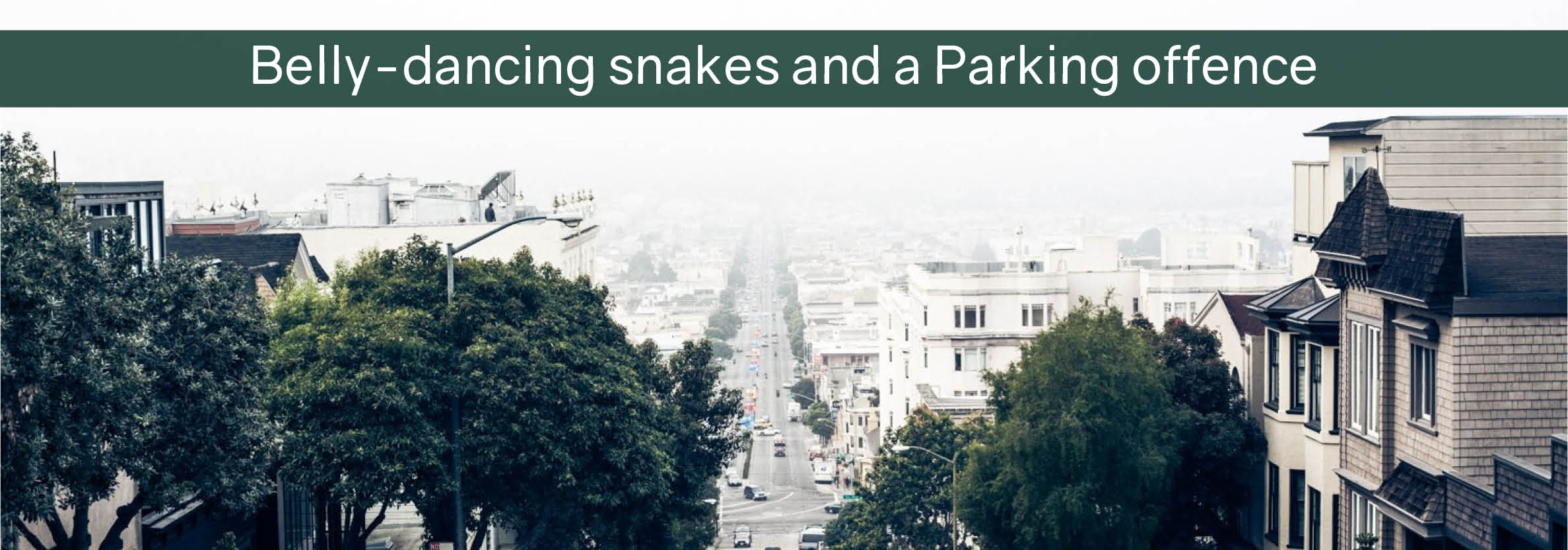 Belly-dancing snakes and a Parking offence main blog image