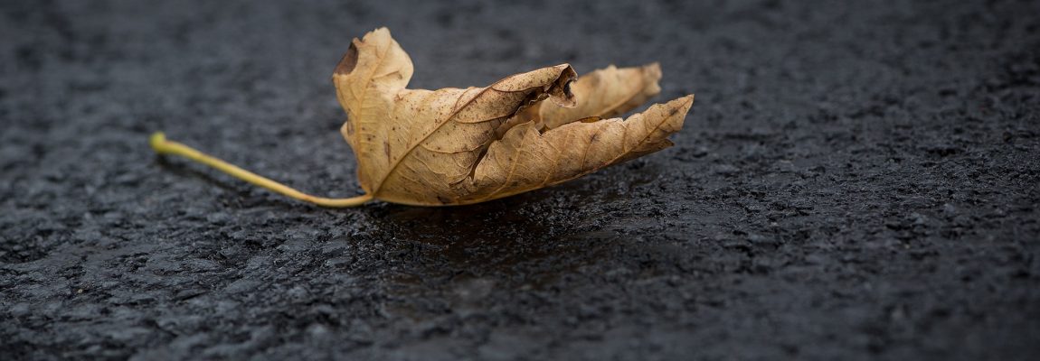 Road Traffic Accidents in Autumn